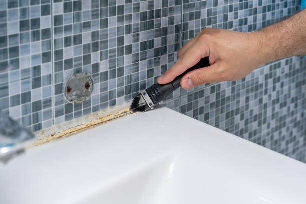 Best Mold Remediation  in Century, FL