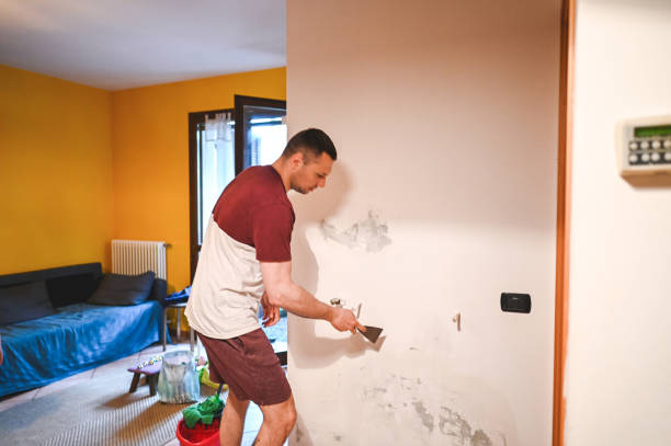 Best Mold Testing  in Century, FL